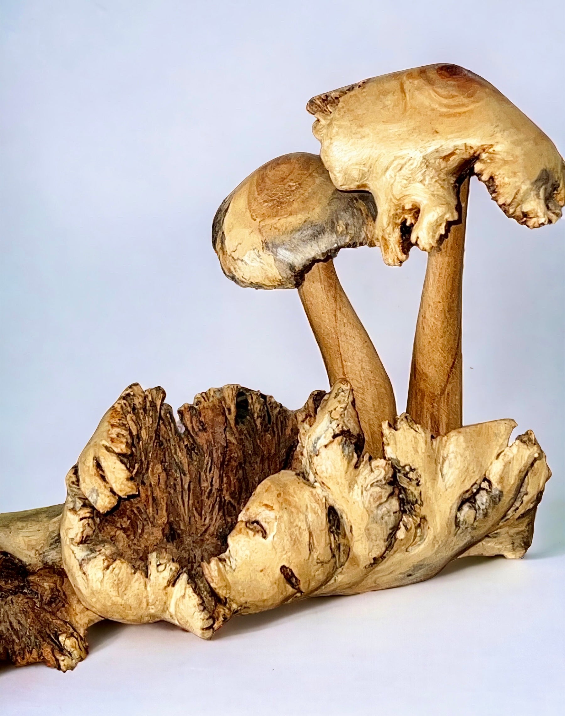 Burl Wood Mushroom 5 Toadstools Sculpture (Vintage)