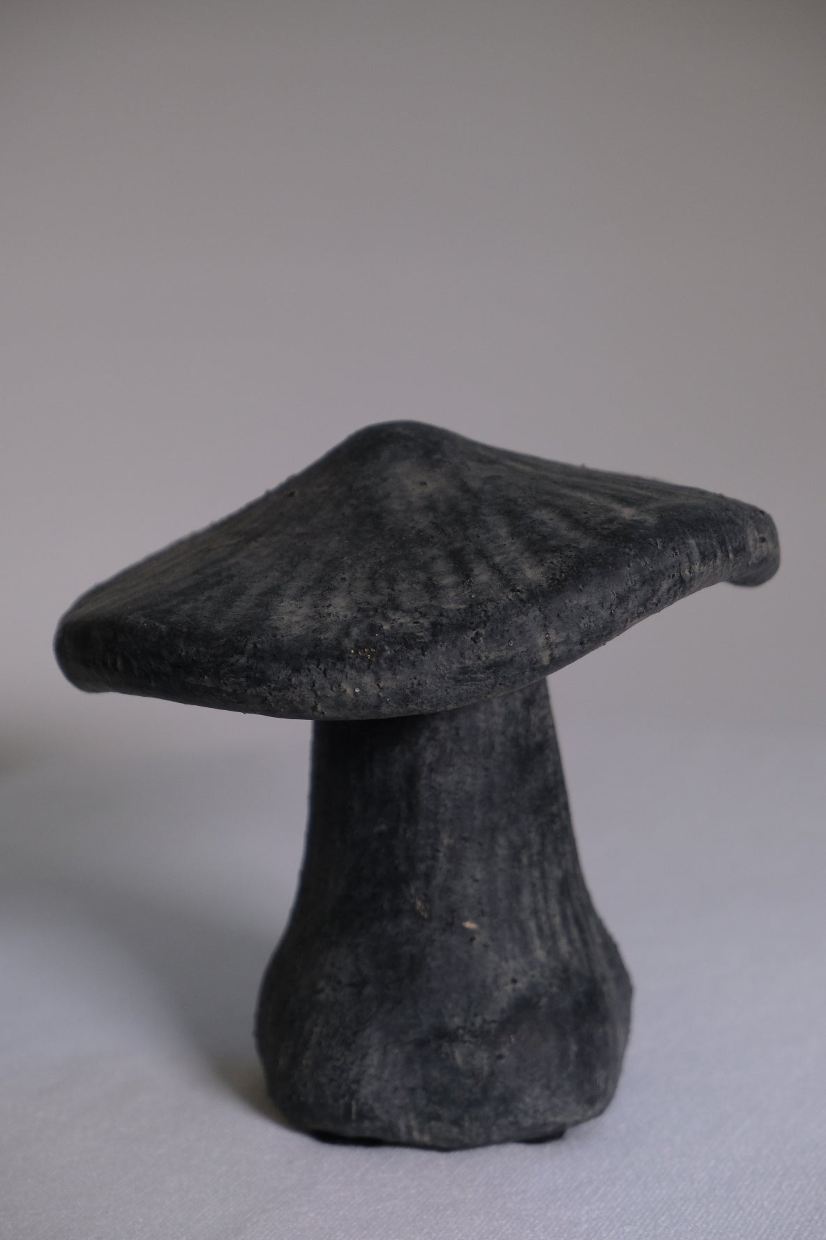 Trippy Studio Pottery Mushroom Sculptures (Pair)