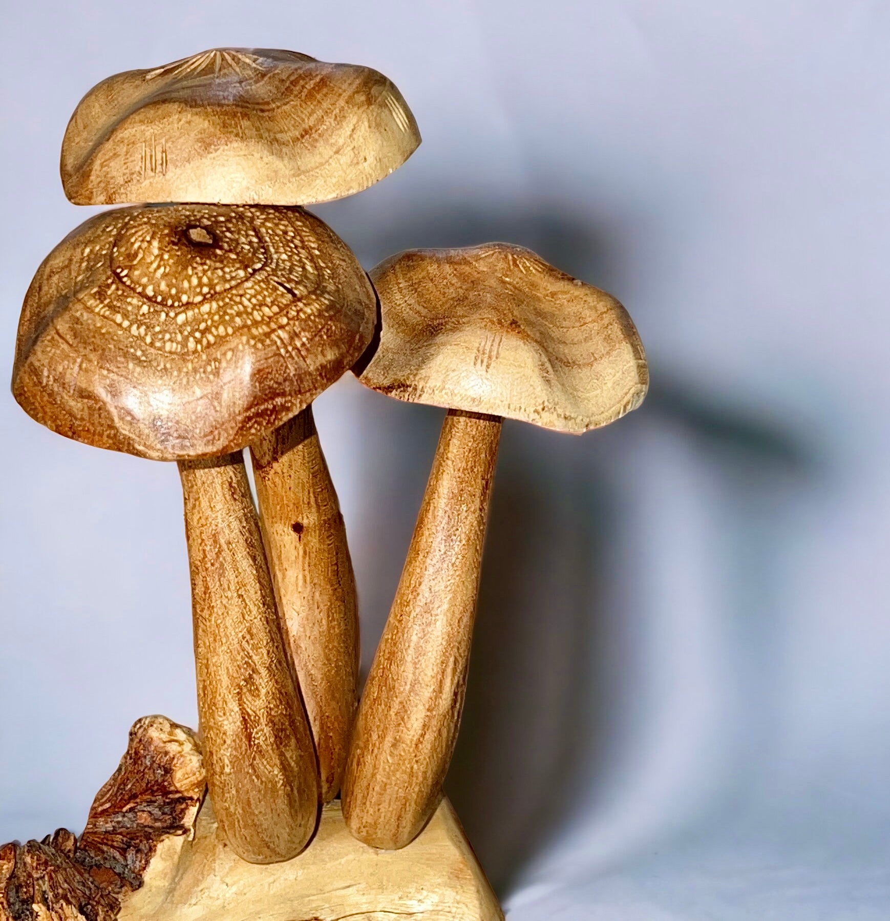 Burl Wood Mushroom 6 Toadstools Sculpture (Vintage)