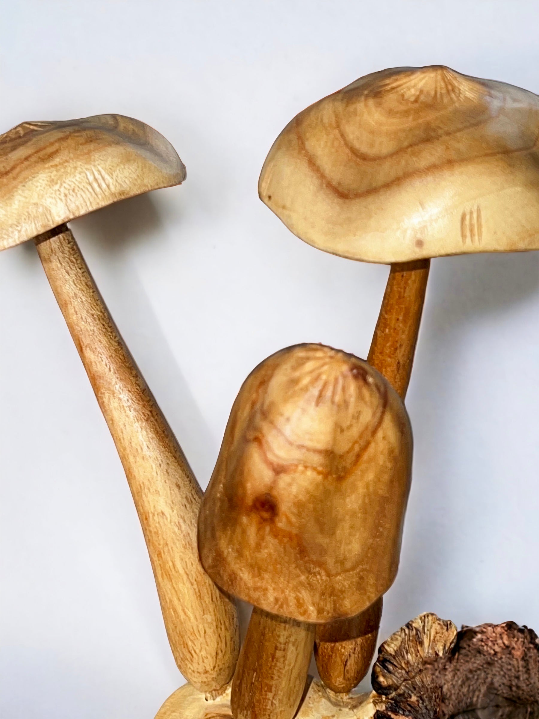 Burl Wood Mushroom 6 Toadstools Sculpture (Vintage)