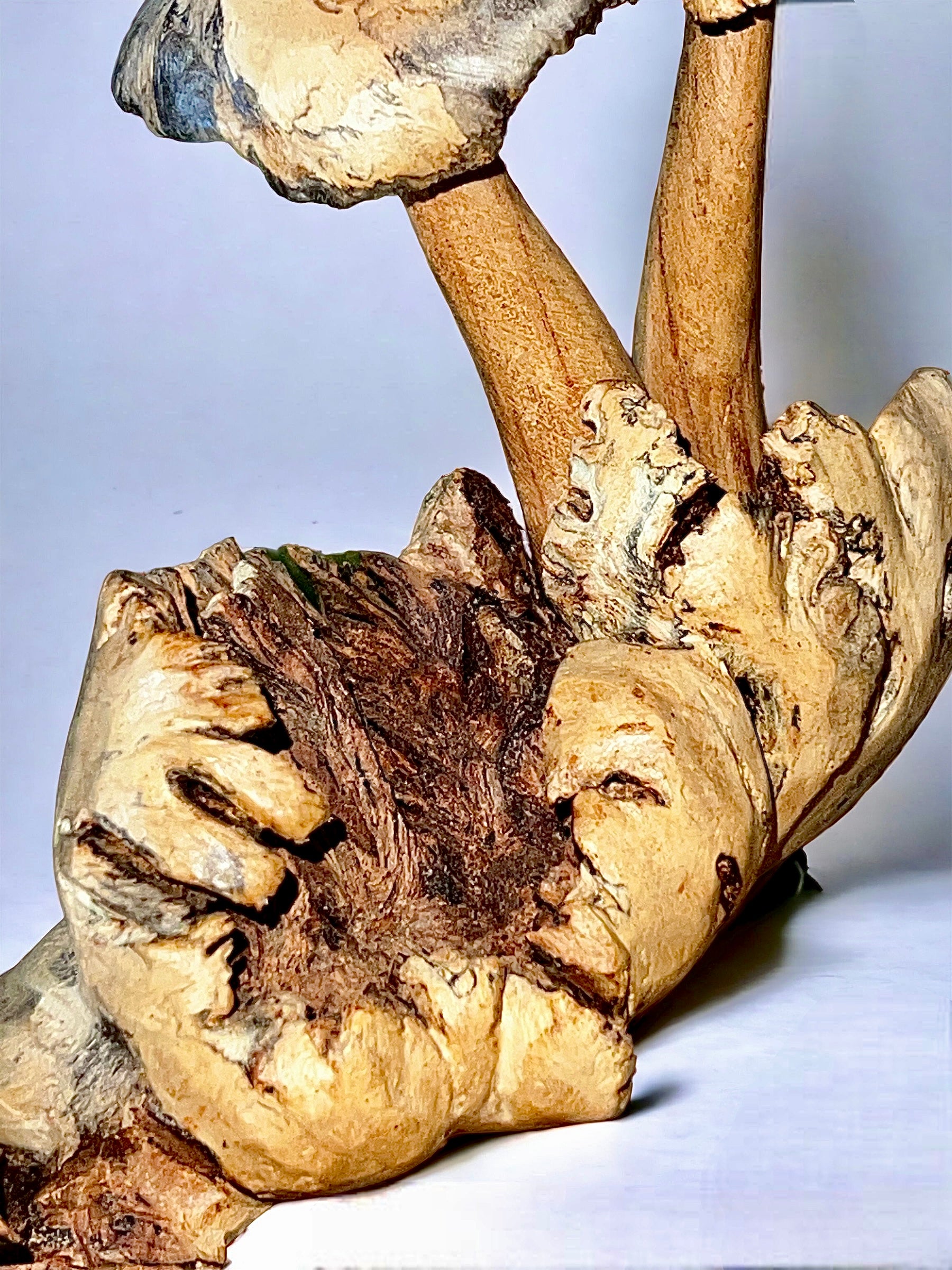 Burl Wood Mushroom 5 Toadstools Sculpture (Vintage)