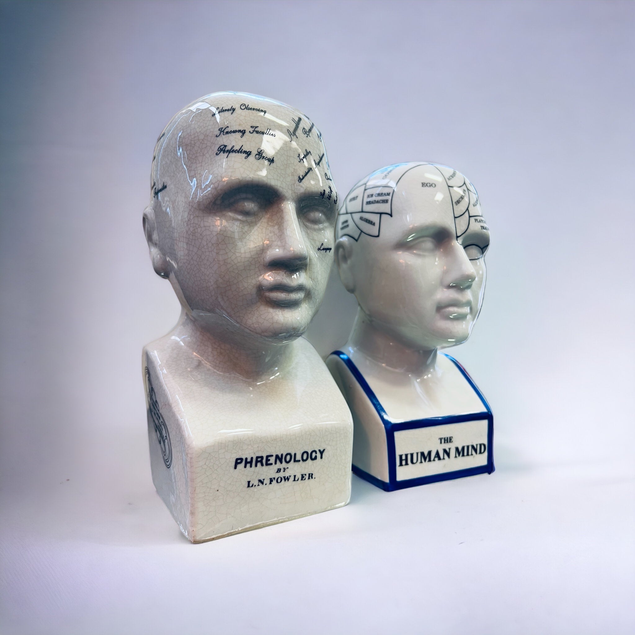 Vintage Phrenology Ceramic Vintage Busts