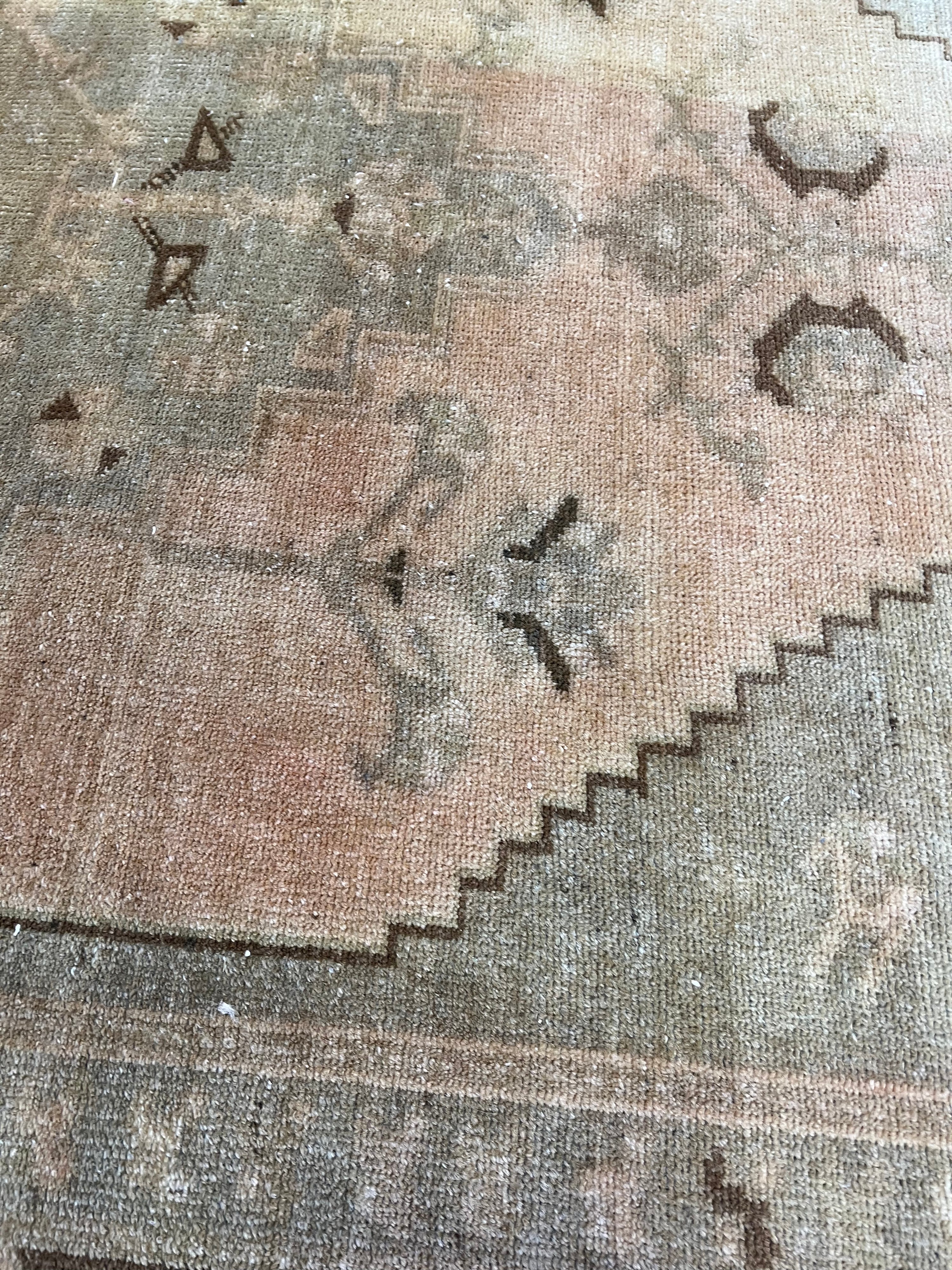 Antiqued Bleached Area Rug